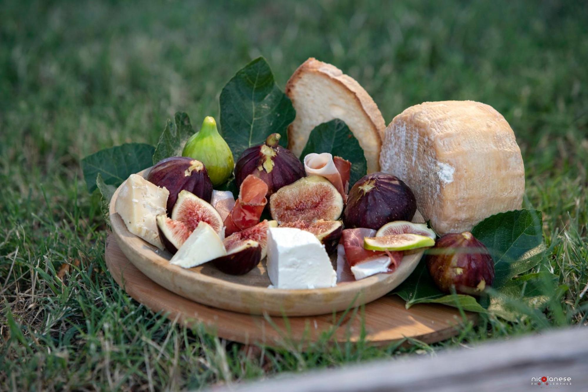 Campodipietra Agriturismo Terra E Sapori מראה חיצוני תמונה