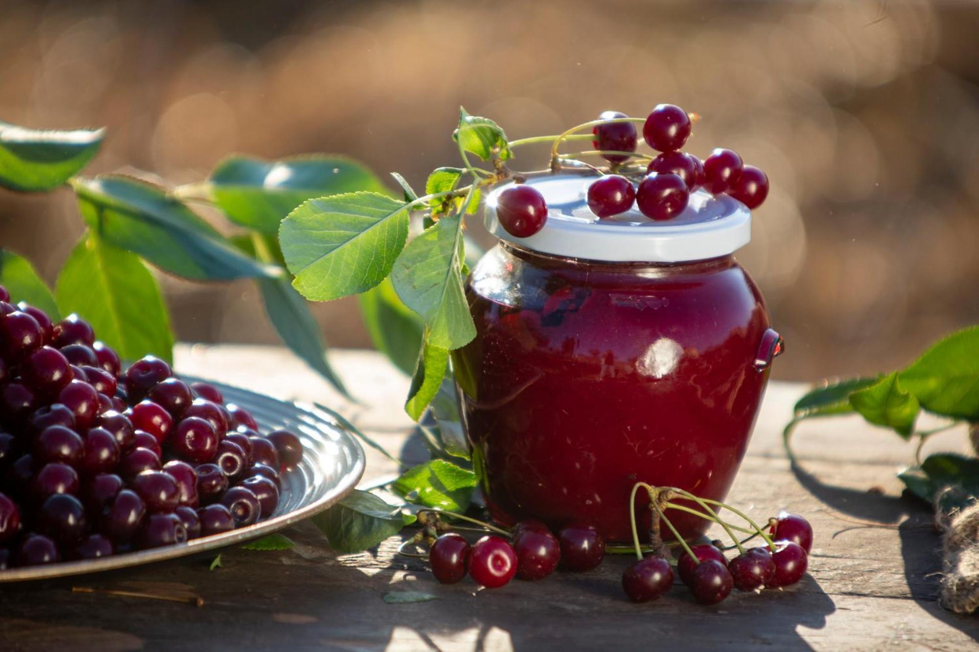 Campodipietra Agriturismo Terra E Sapori מראה חיצוני תמונה