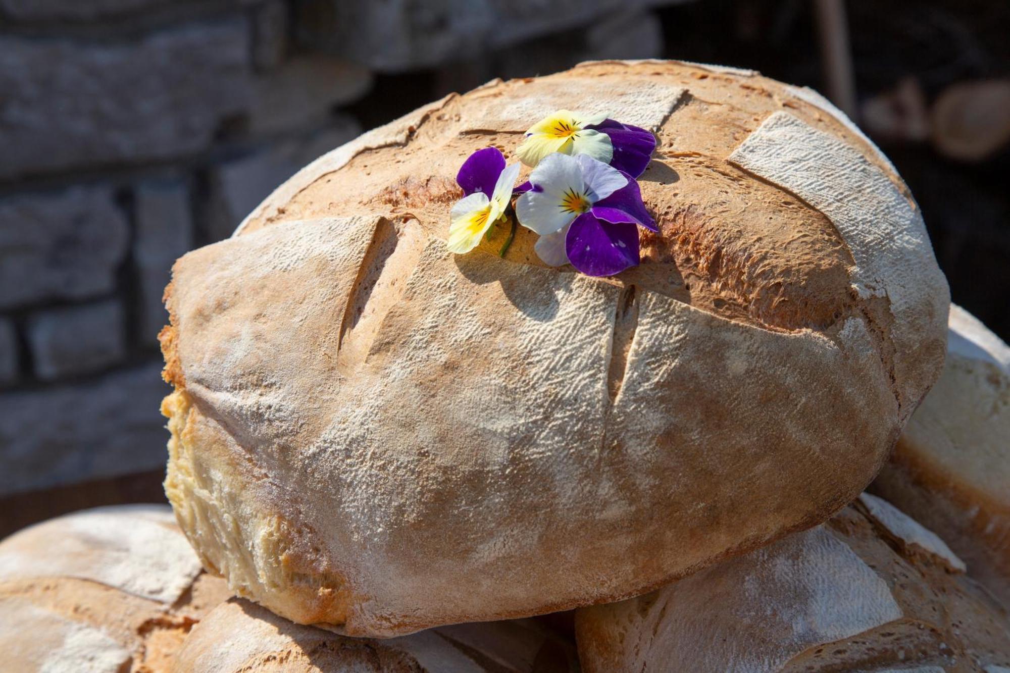 Campodipietra Agriturismo Terra E Sapori מראה חיצוני תמונה