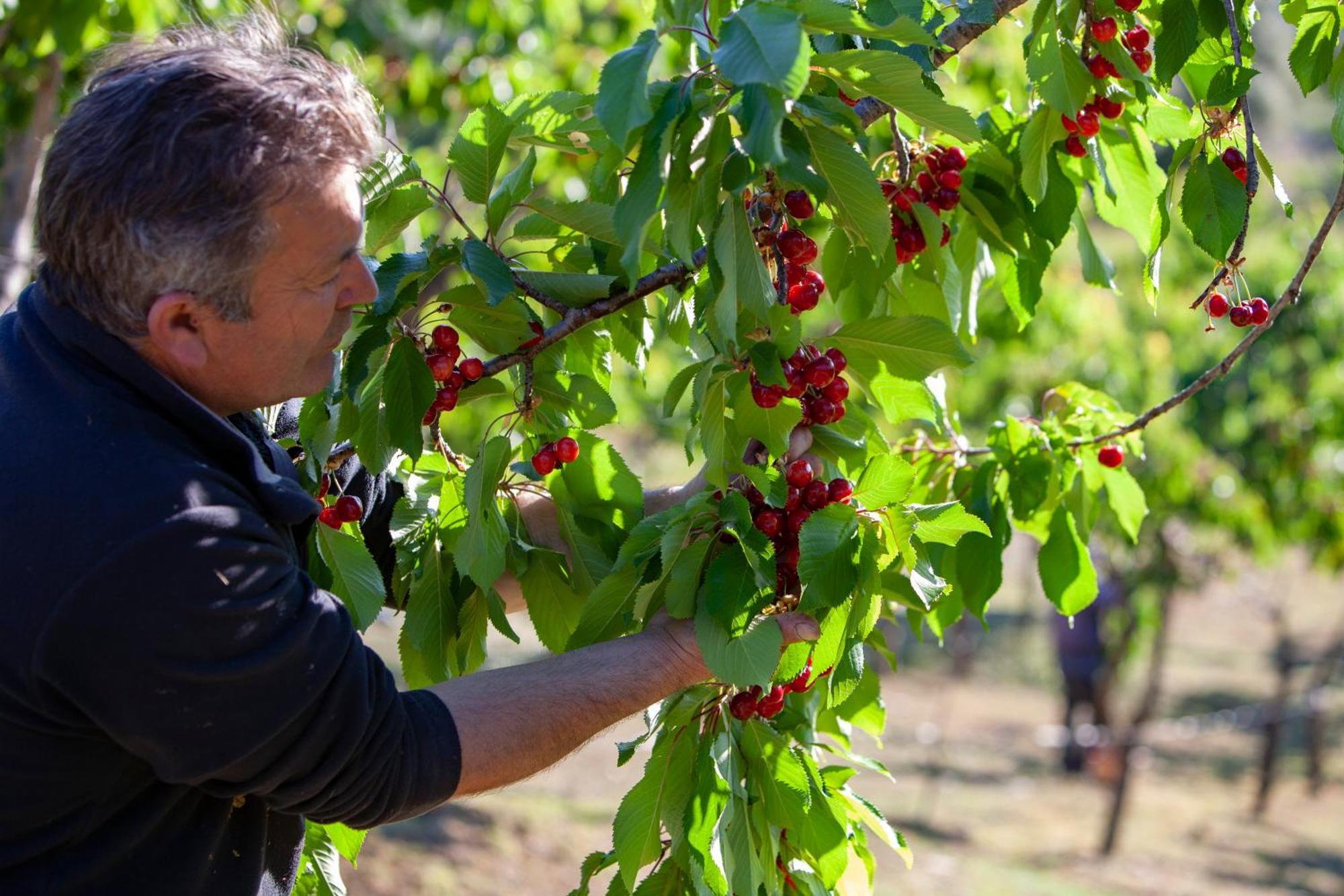 Campodipietra Agriturismo Terra E Sapori מראה חיצוני תמונה