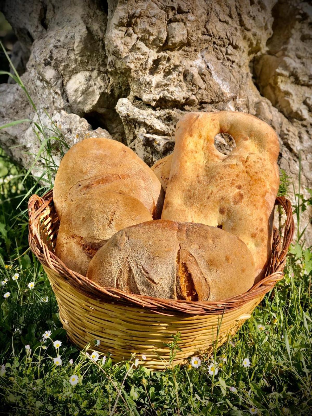 Campodipietra Agriturismo Terra E Sapori מראה חיצוני תמונה
